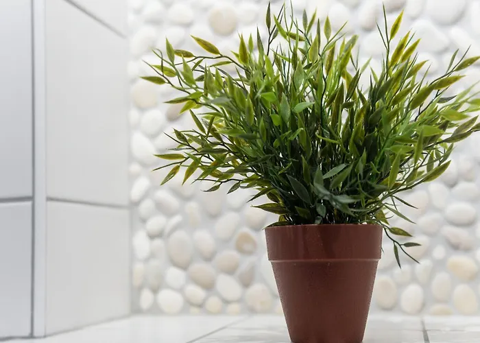 Chalet In Near Lifts